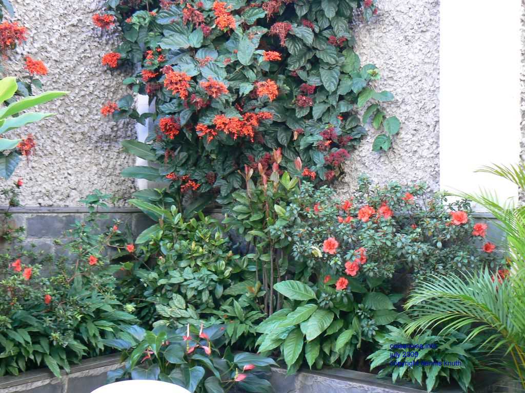 2009_07_18_a_partyday_66.jpg (large)