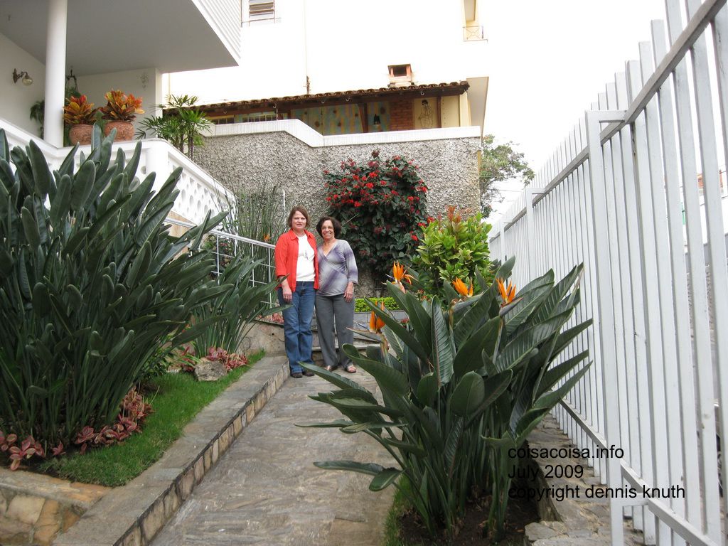 Birds of Paradise at Vicentina's