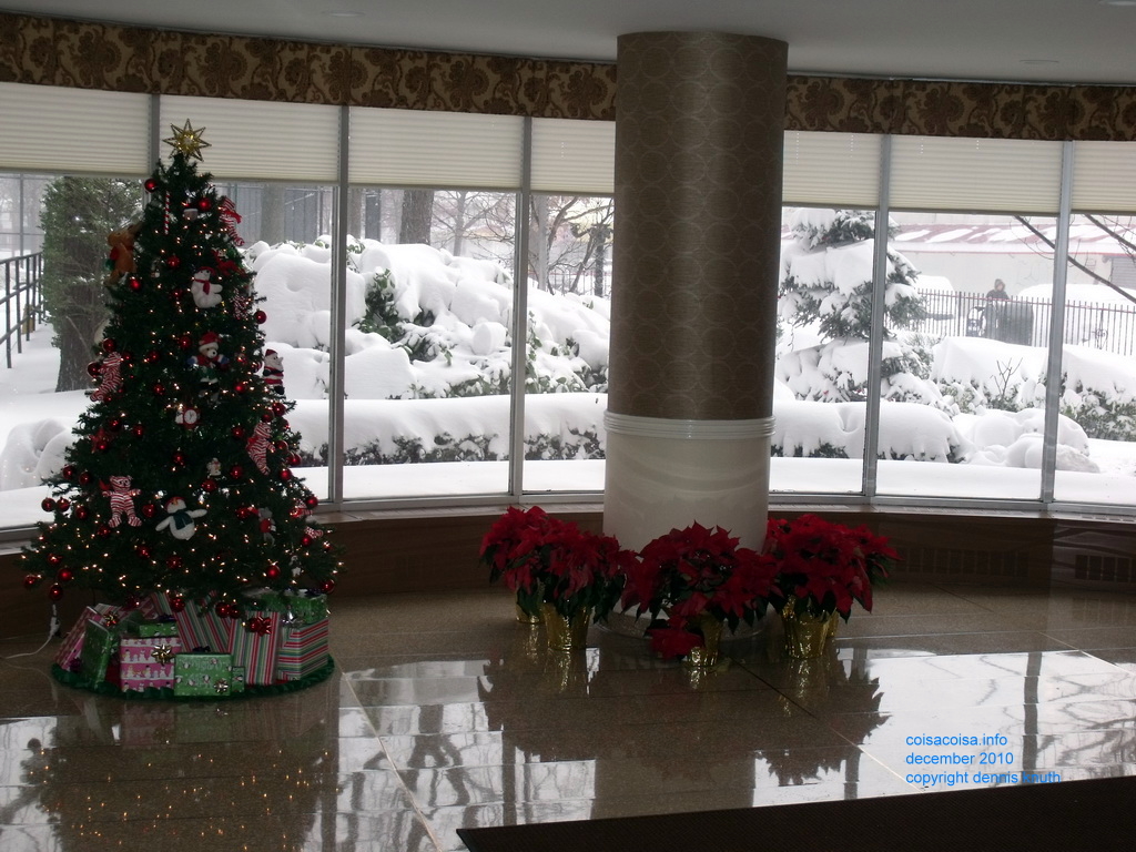 Elmhurst Towers on December 27 2010 (large)