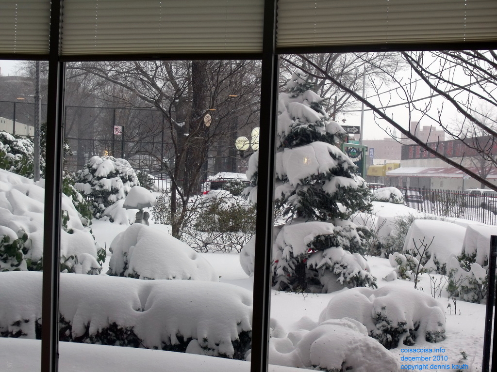 20 inches of snow (large) View out the window