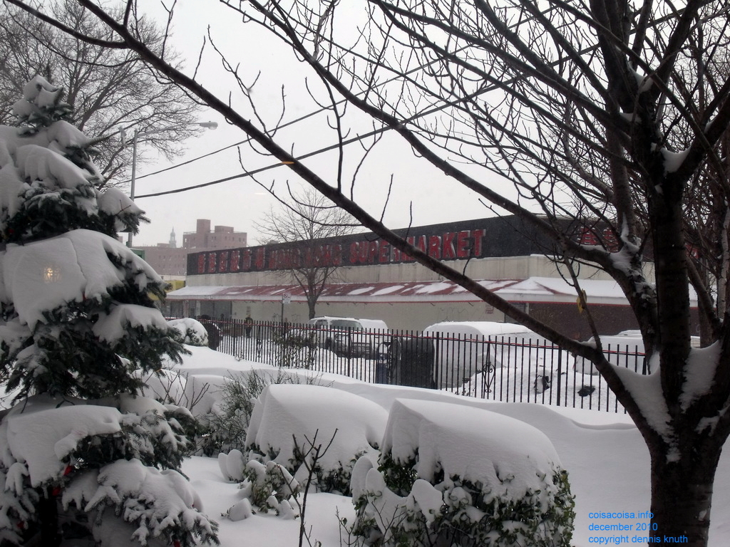 Hong Kong Super Market i Elmhurst Queens(large)