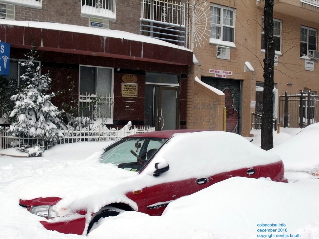 Emo is stuck in 20 inches of snow