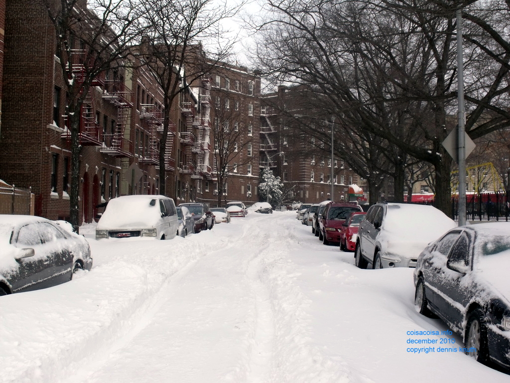 2010_12_26_elmhurst_blizzard_09.jpg (large)