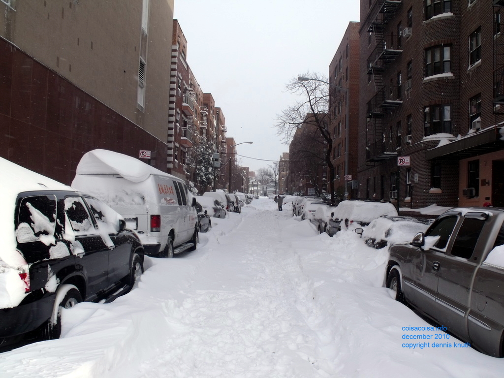 Blizzard on Vietor in Queens