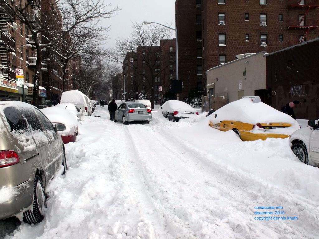 Elmhurst Avenue 11373 Blizzard