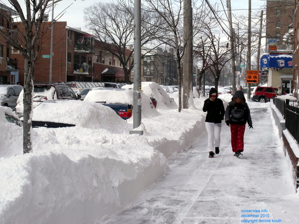 Elmhurst Towers Queens Blizzard