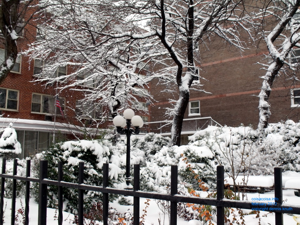 Garden at Elmhurst Towers Snow