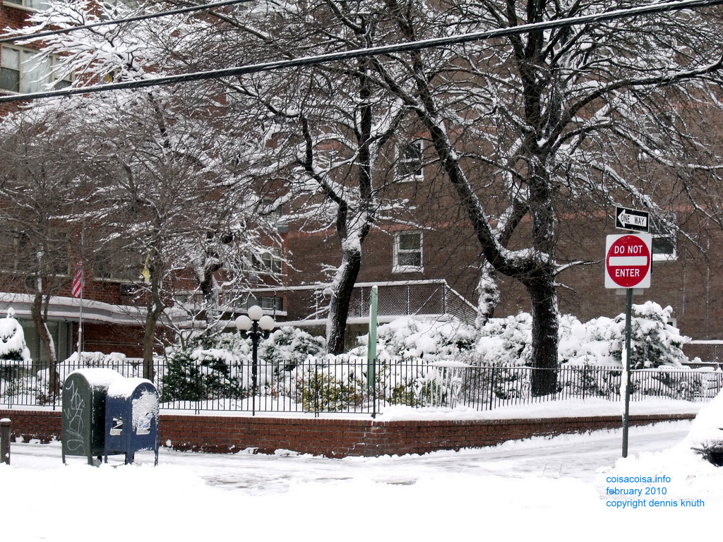 Elmhurst Towners Garden in 2010