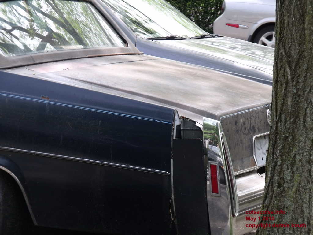 Tail light panel damage