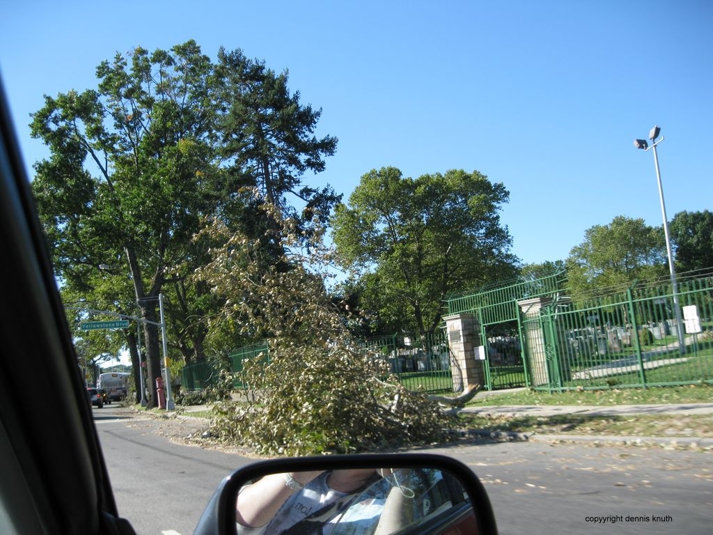 Woodhaven Boulevard Tornado Damage (large)
