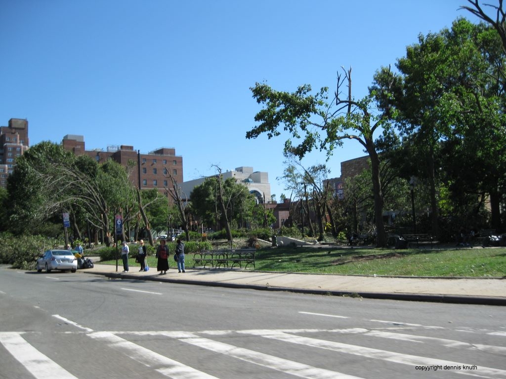 Forest Hills Tornado Damage (large)