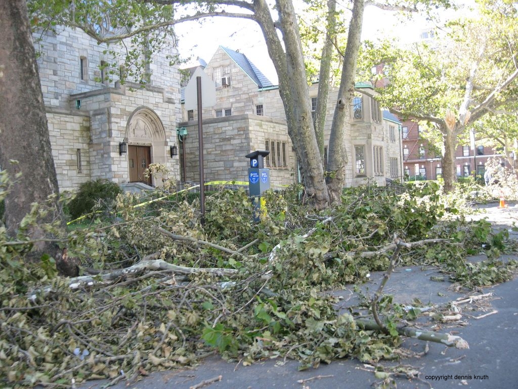 Tornado Forest Hills 2010