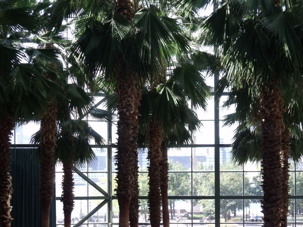 Winter Garden at the World Financial Center (large)