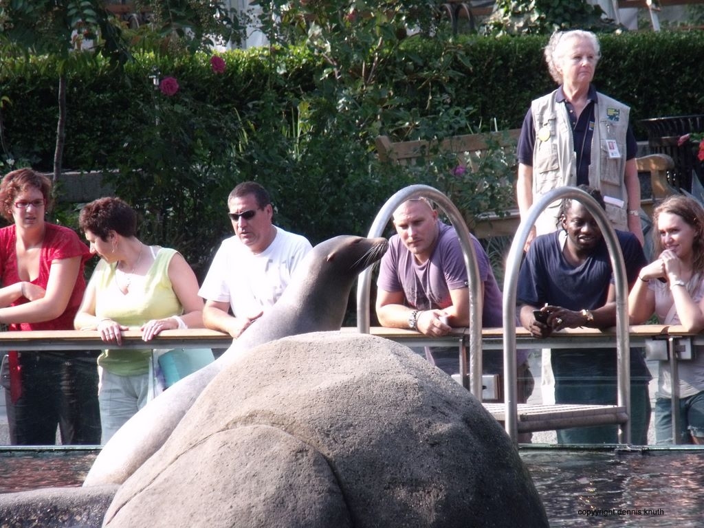 2010_09_23_central_park_01.jpg (large)