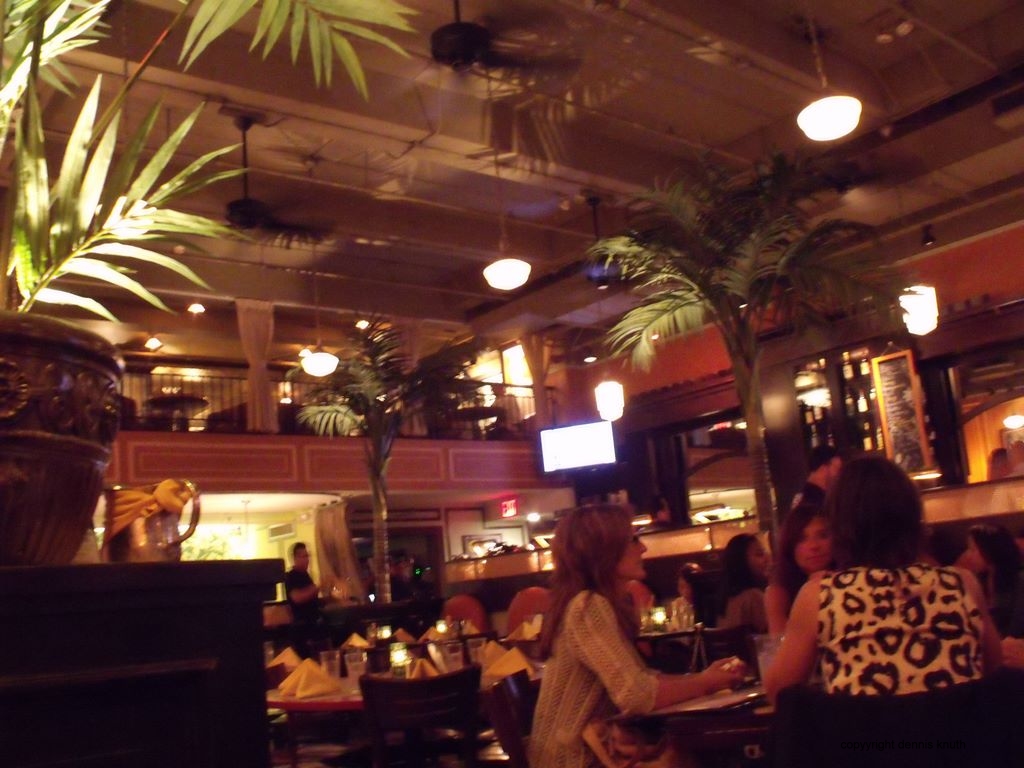 2010_09_23_havana_garden_01.jpg (large)