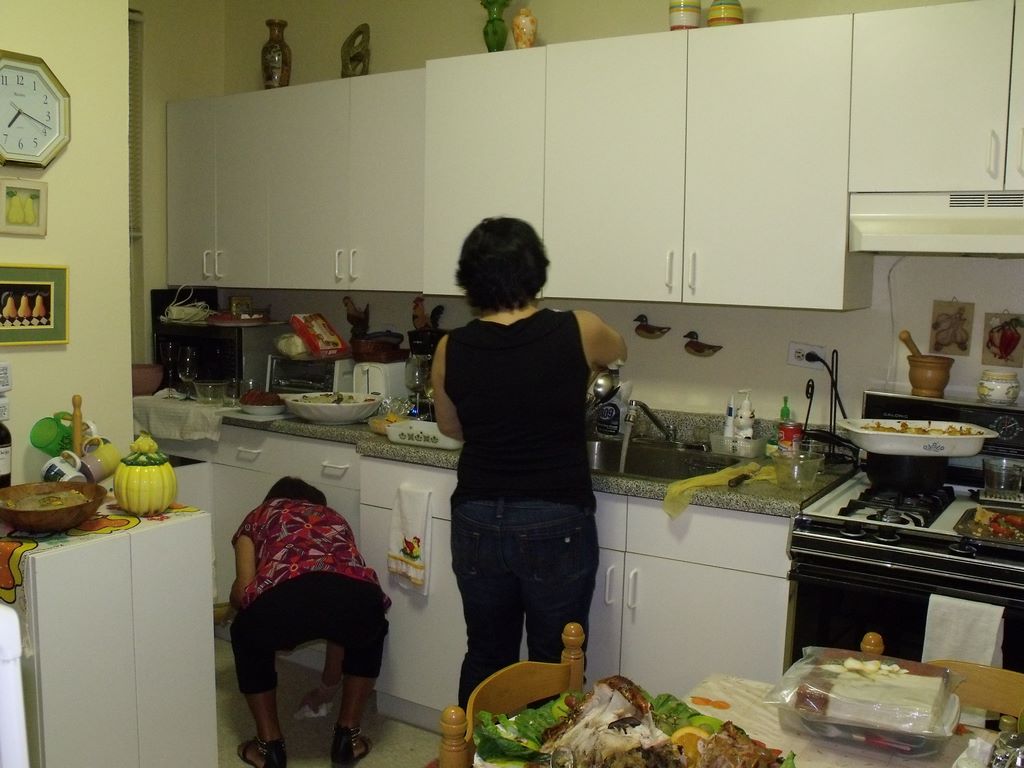 2010_11_25_thanksgiving_at_olga_07.jpg (large)