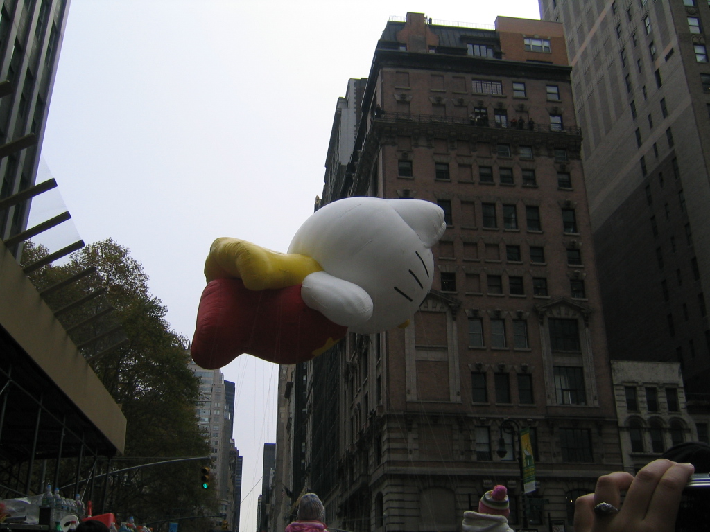 2010_11_25_thanksgiving_parade_01.jpg (large)