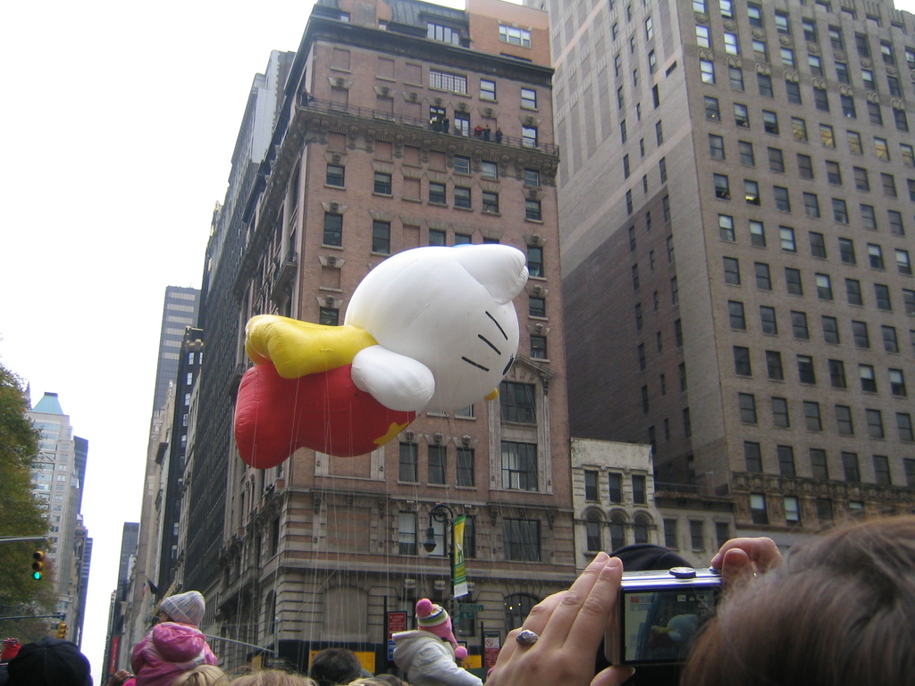 2010_11_25_thanksgiving_parade_02.jpg (large)