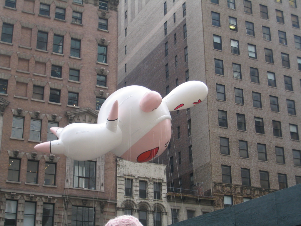 2010_11_25_thanksgiving_parade_09.jpg (large)