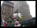 2010_11_25_thanksgiving_parade_07.jpg