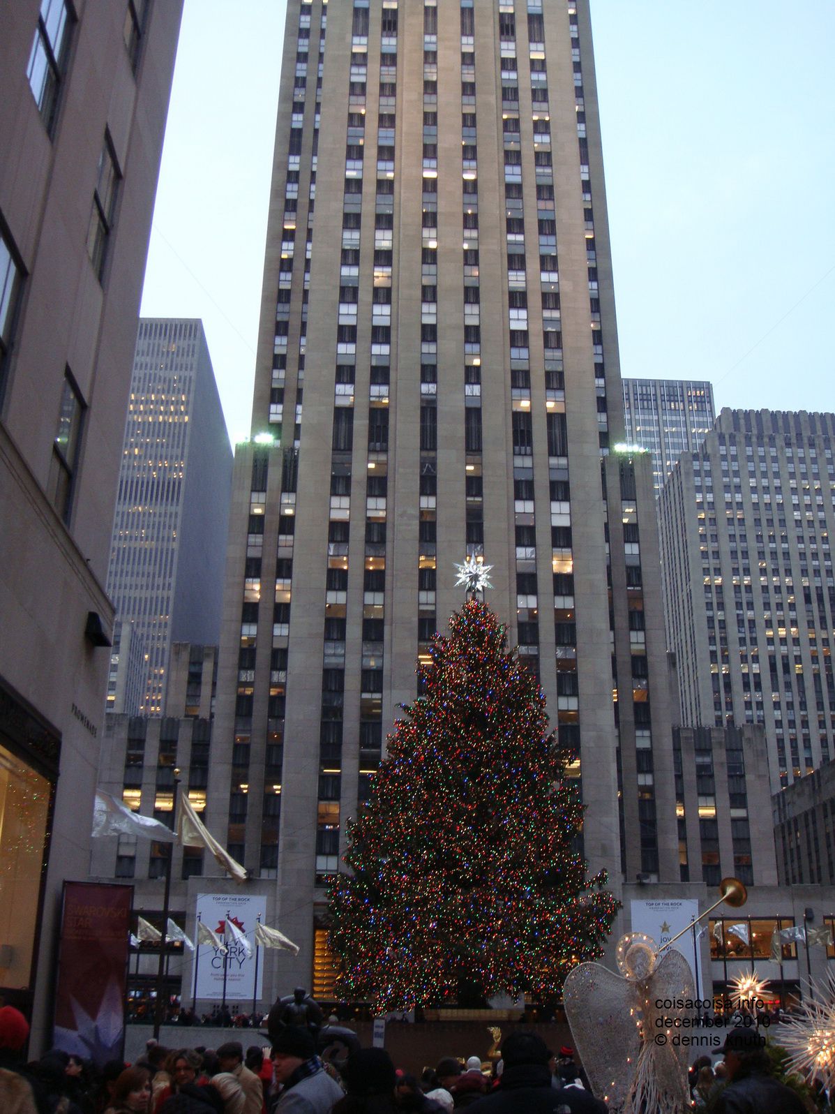 2010_12_16_lisete_concinha_ny_019.jpg (large)