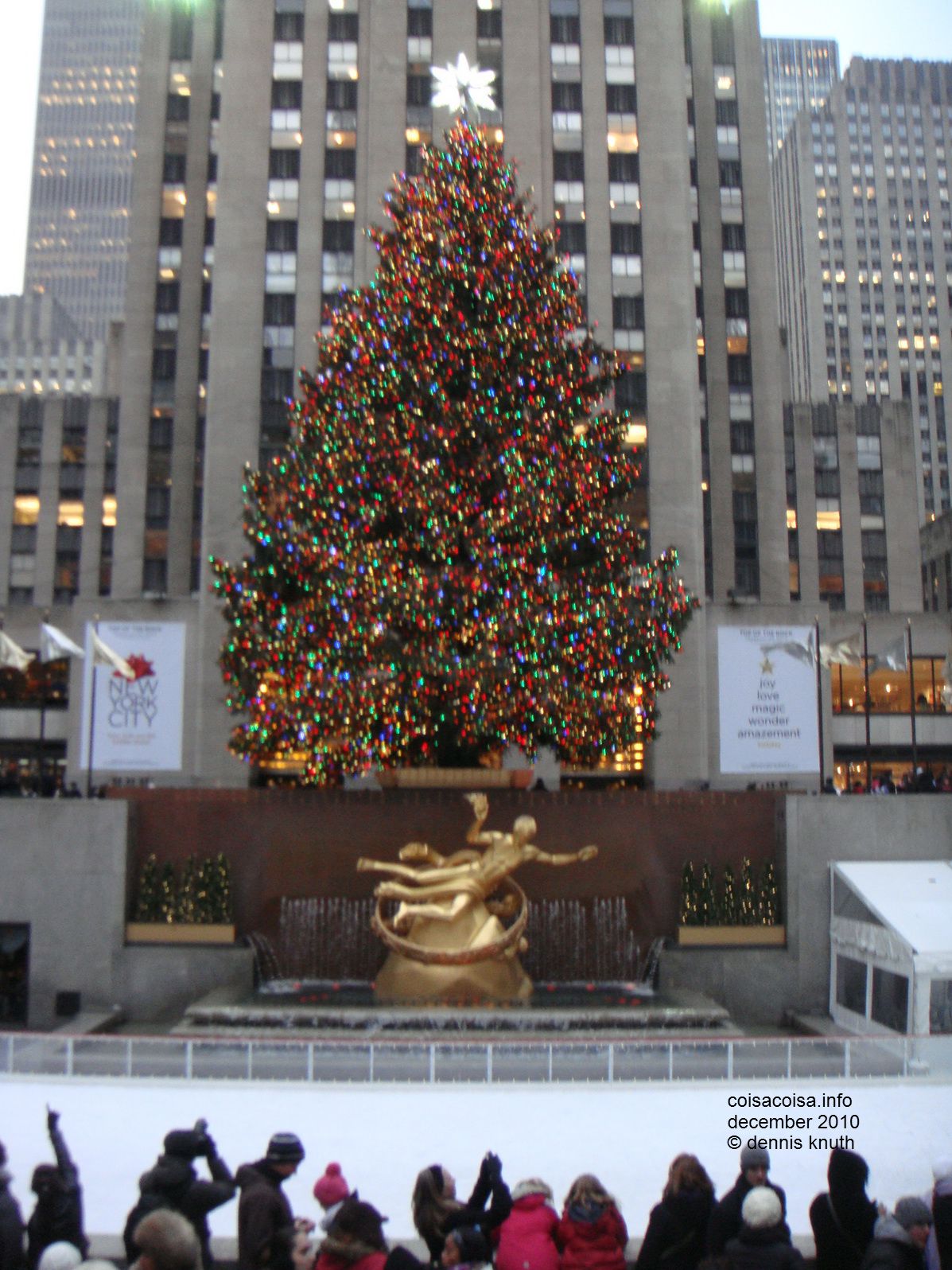 2010_12_16_lisete_concinha_ny_020.jpg (large)