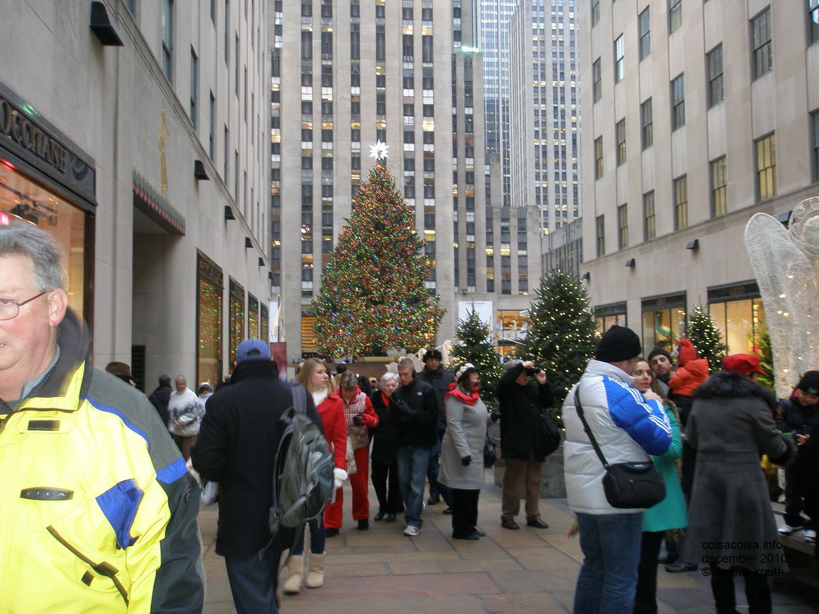 2010_12_16_lisete_concinha_ny_056.jpg (large)