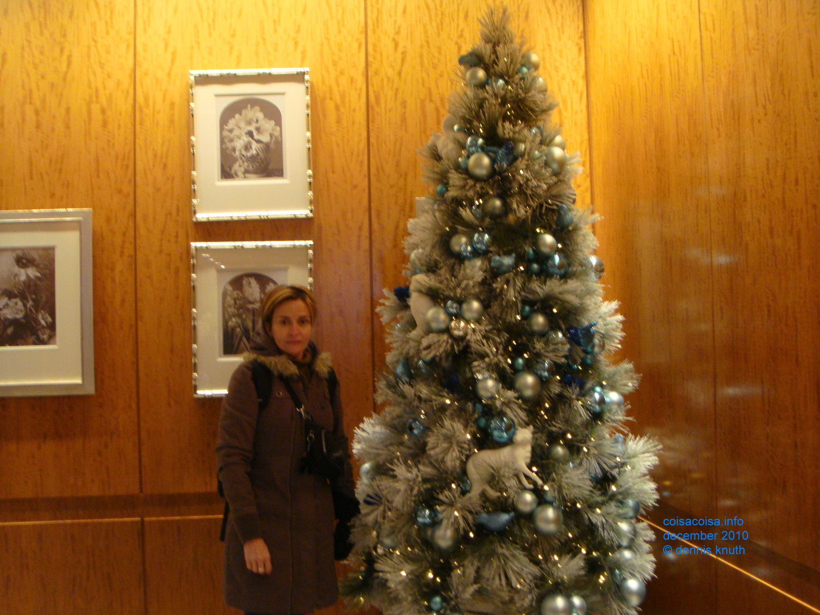 2010_12_19_lisete_concinha_ny_005.jpg (large)