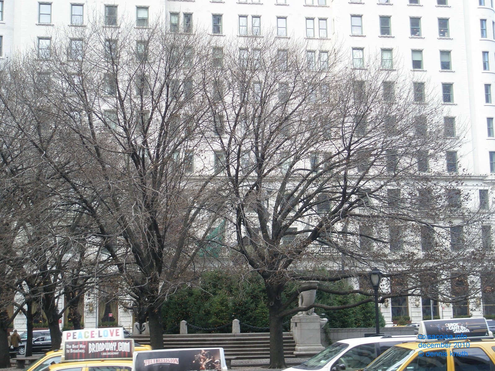 2010_12_19_lisete_concinha_ny_016.jpg (large)