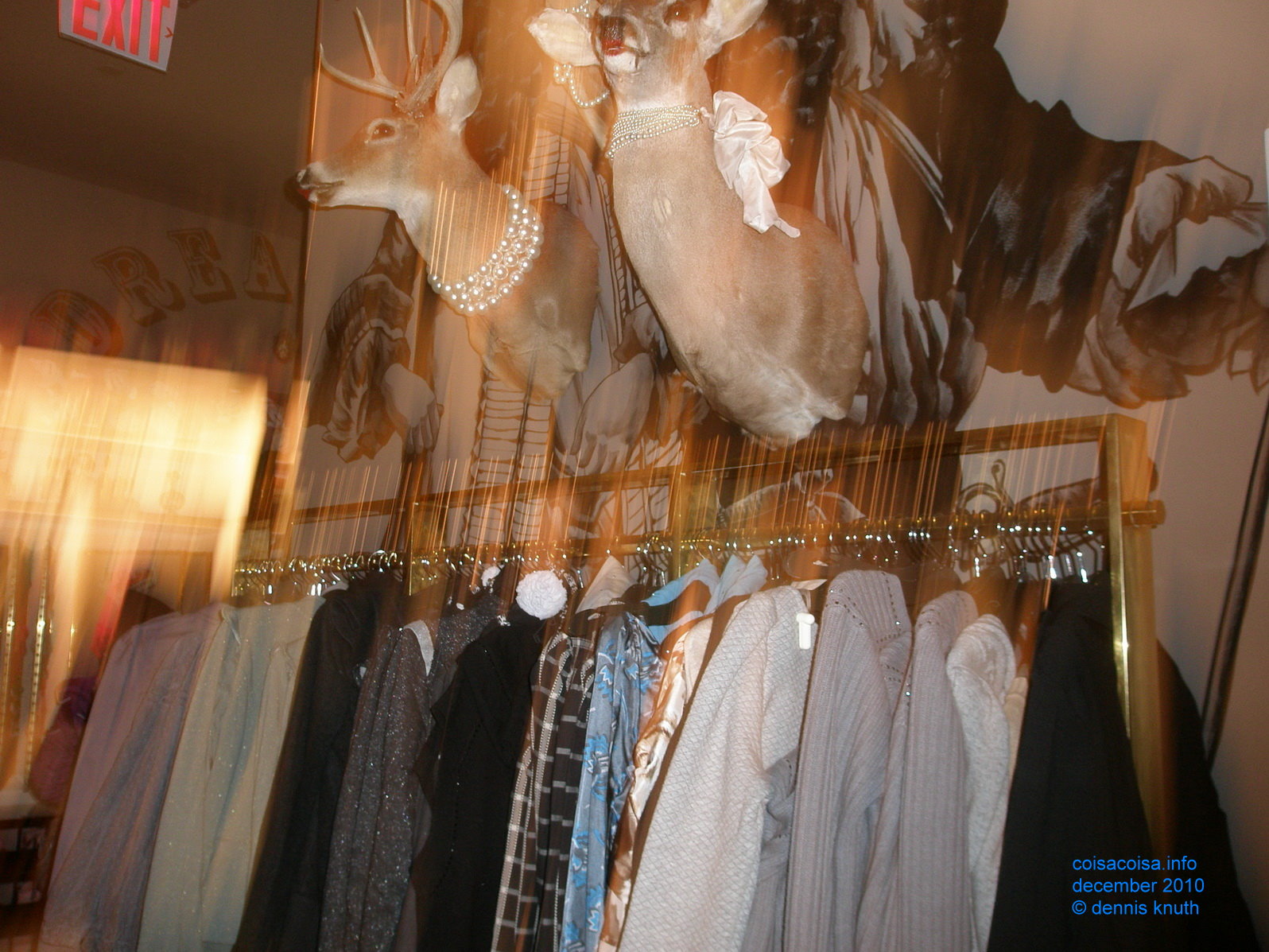 2010_12_19_lisete_concinha_ny_064.jpg (large)