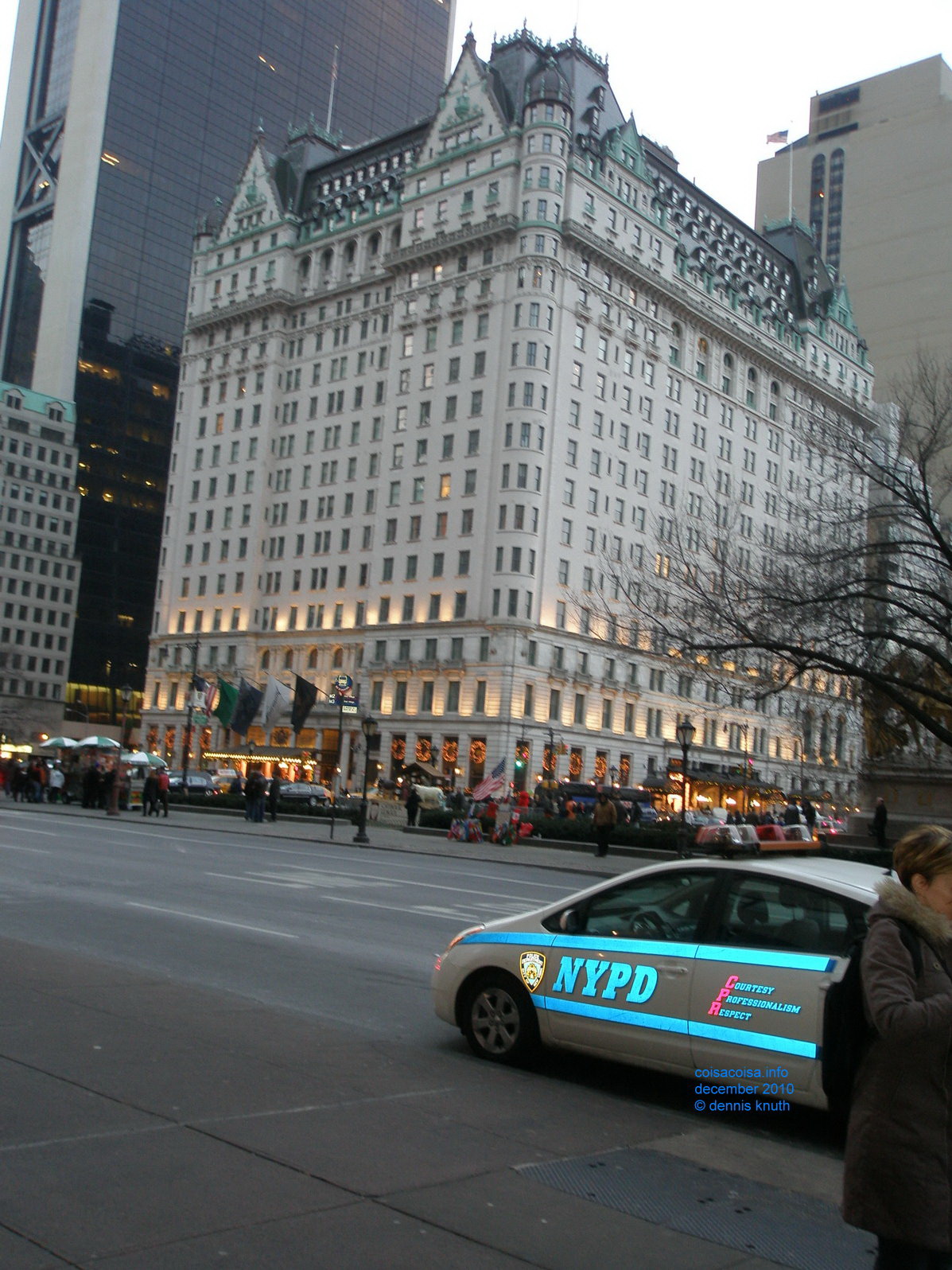 Cop car reflected neon