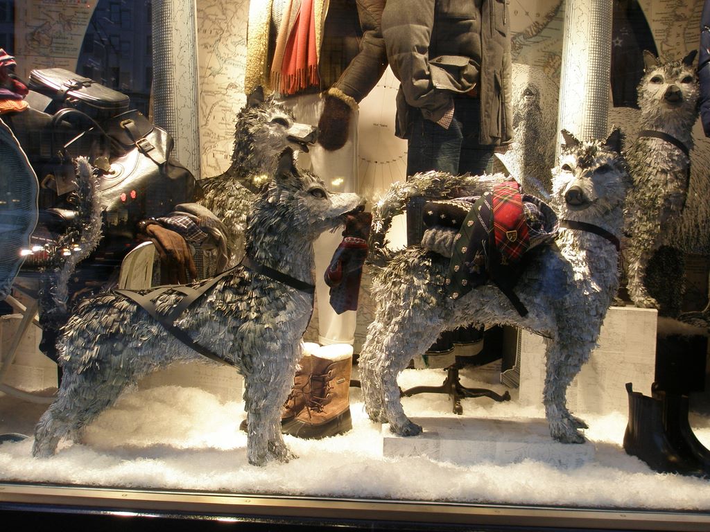 2010_12_19_windows_ny_002.jpg (large)