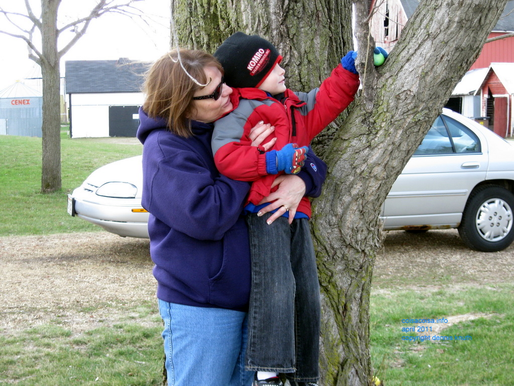 Jared picks a hidden egg from a tree