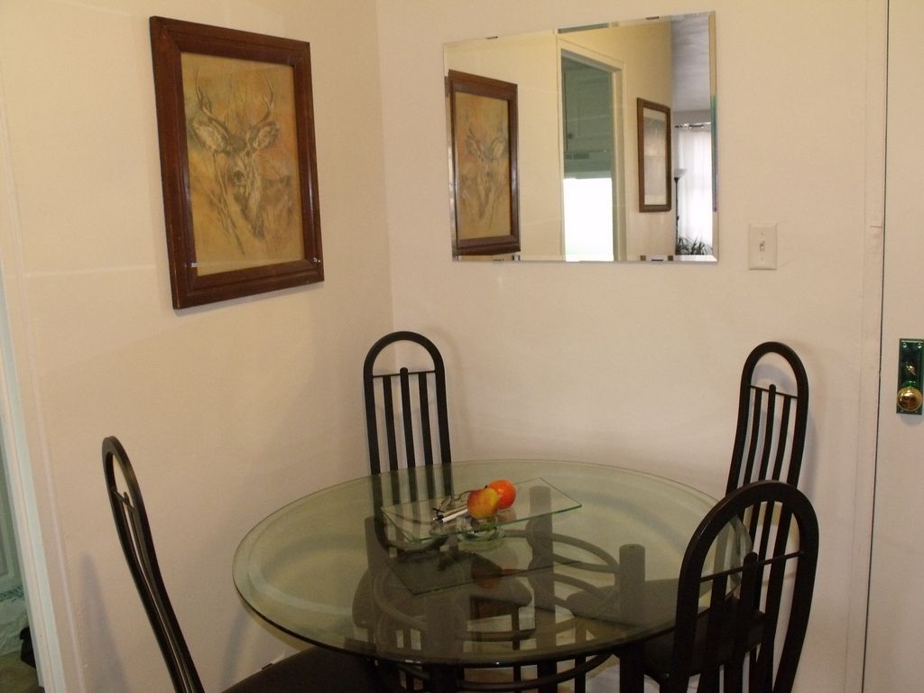 Dining Room in Elmhurst with a mirror from Ikea