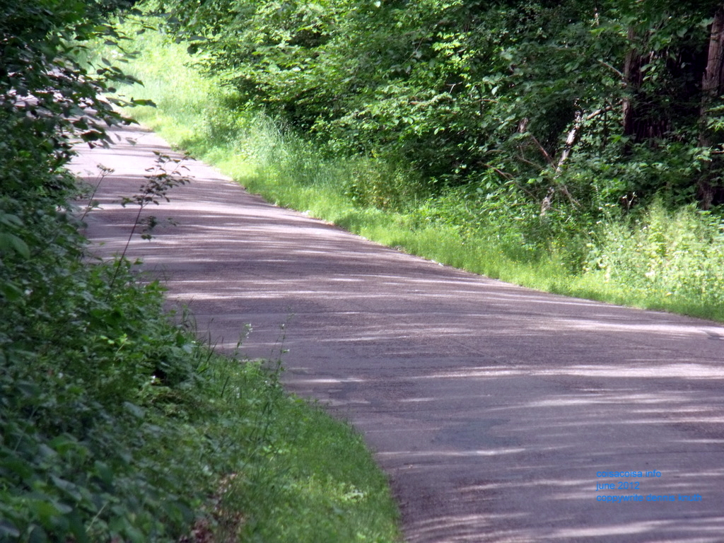 Country Roads are Peacefull