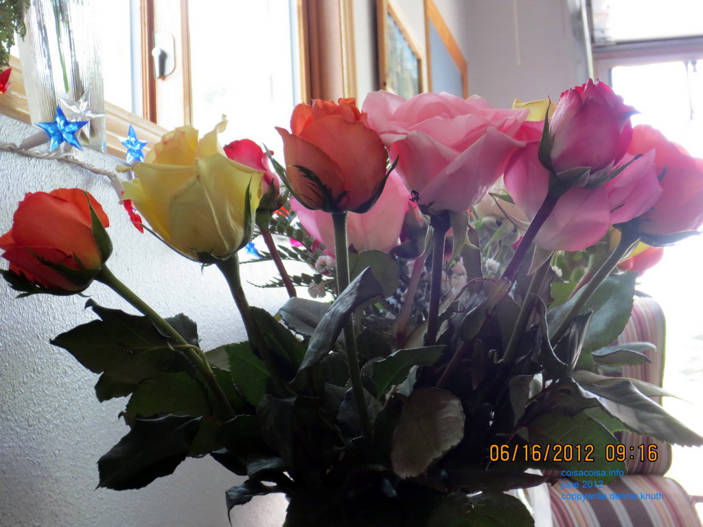 roses from Our Father John Knuth's Funeral