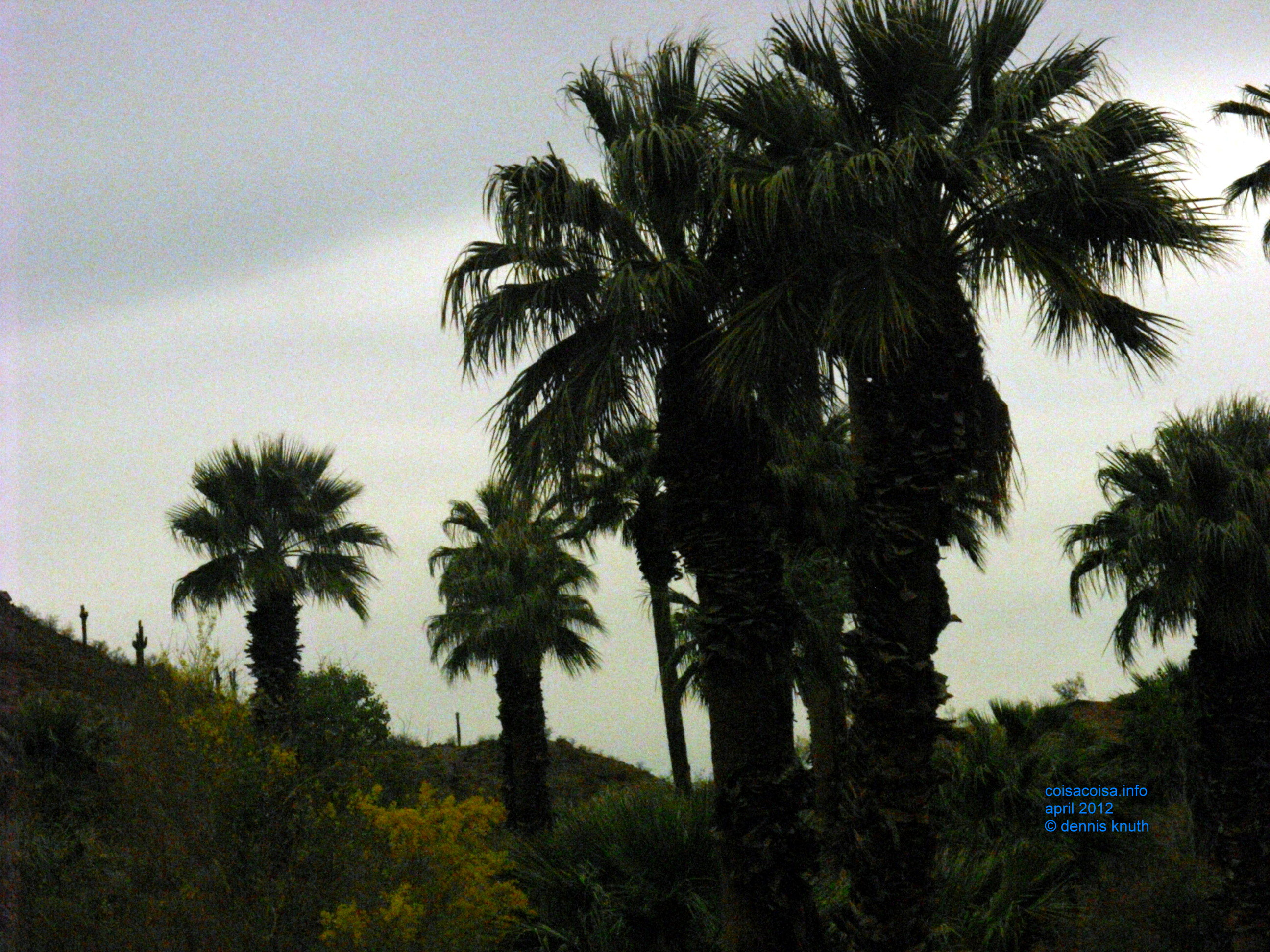 2012_04_25_arrive_a_papago_park_0010.jpg (large)