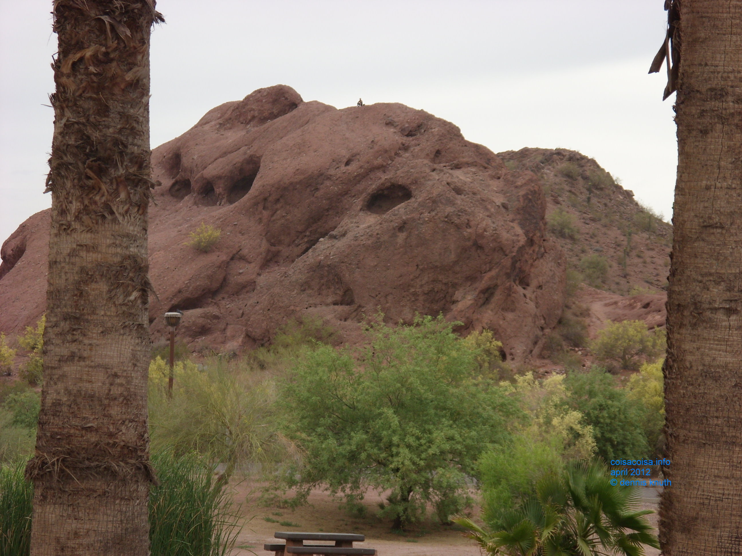 2012_04_25_arrive_a_papago_park_0012.jpg (large)