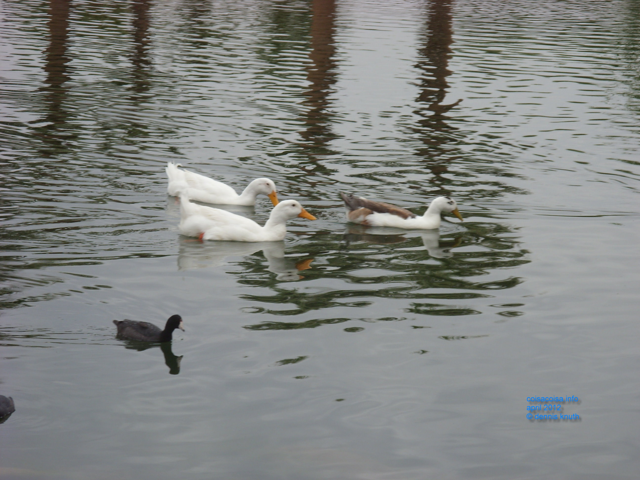 2012_04_25_arrive_a_papago_park_0015.jpg (large)