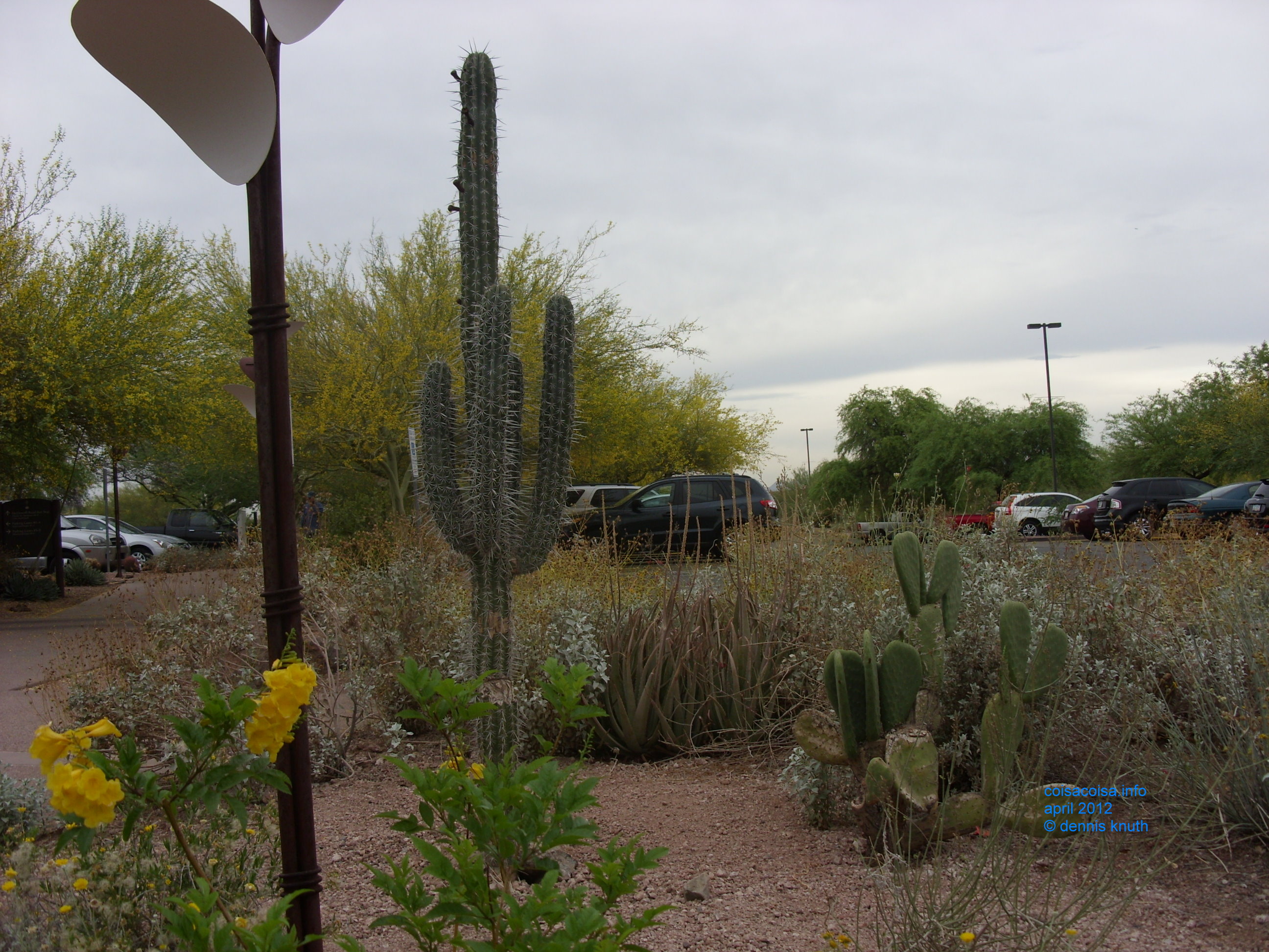 2012_04_25_arrive_b_botanical_garden_0004.jpg (large)