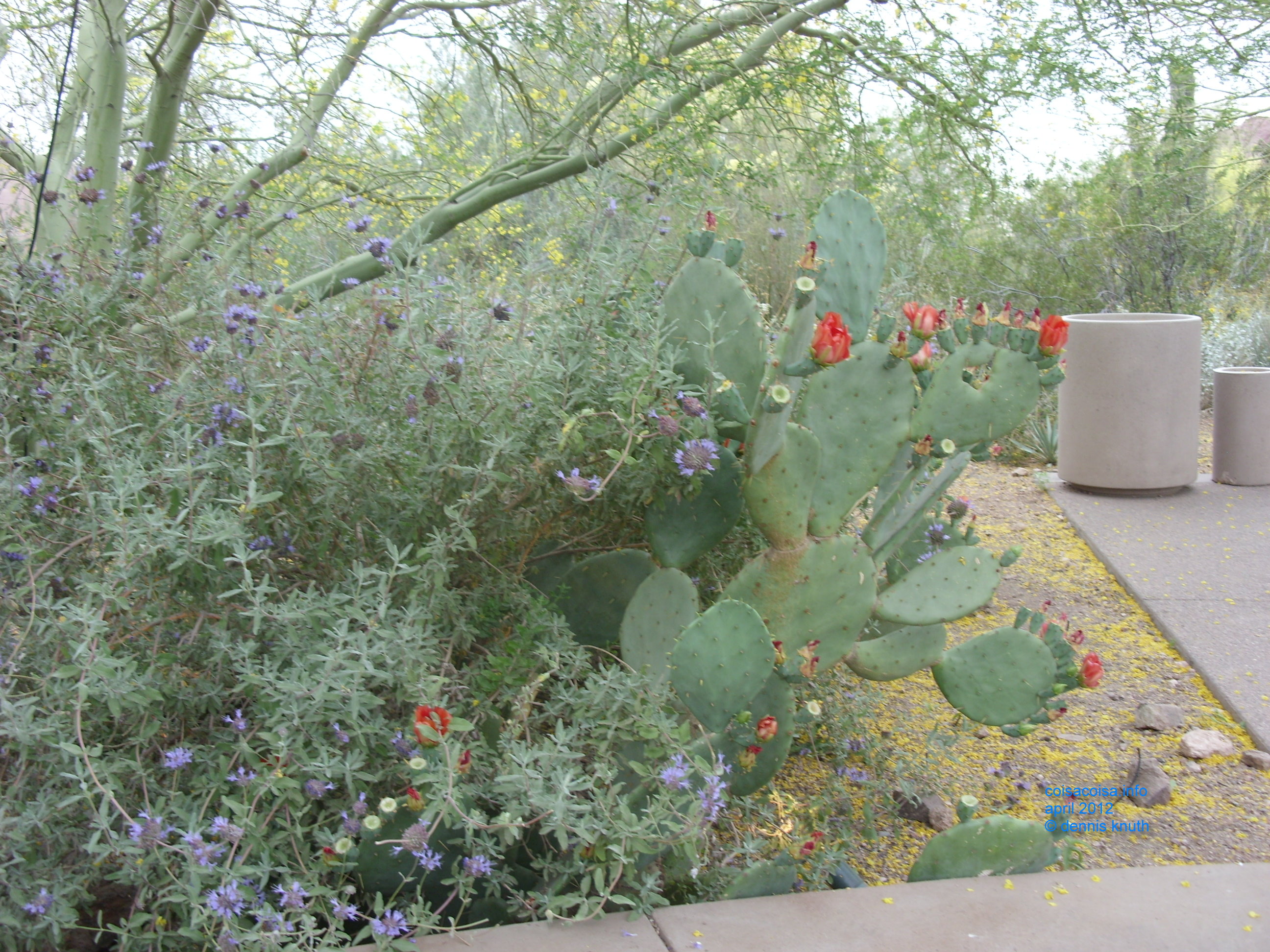 2012_04_25_arrive_b_botanical_garden_0005.jpg (large)