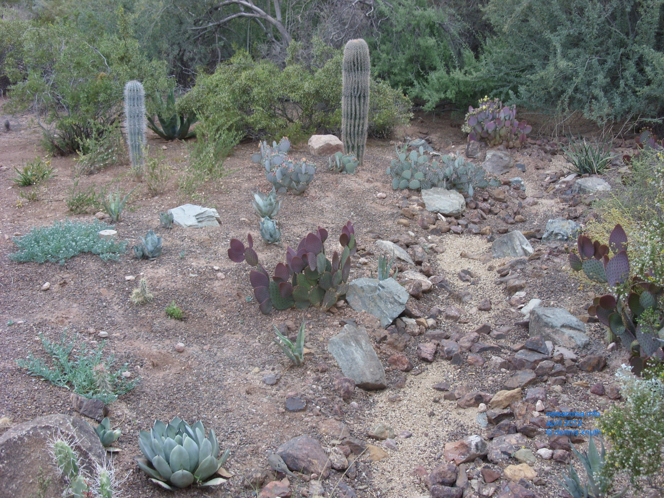 2012_04_25_arrive_b_botanical_garden_0007.jpg (large)