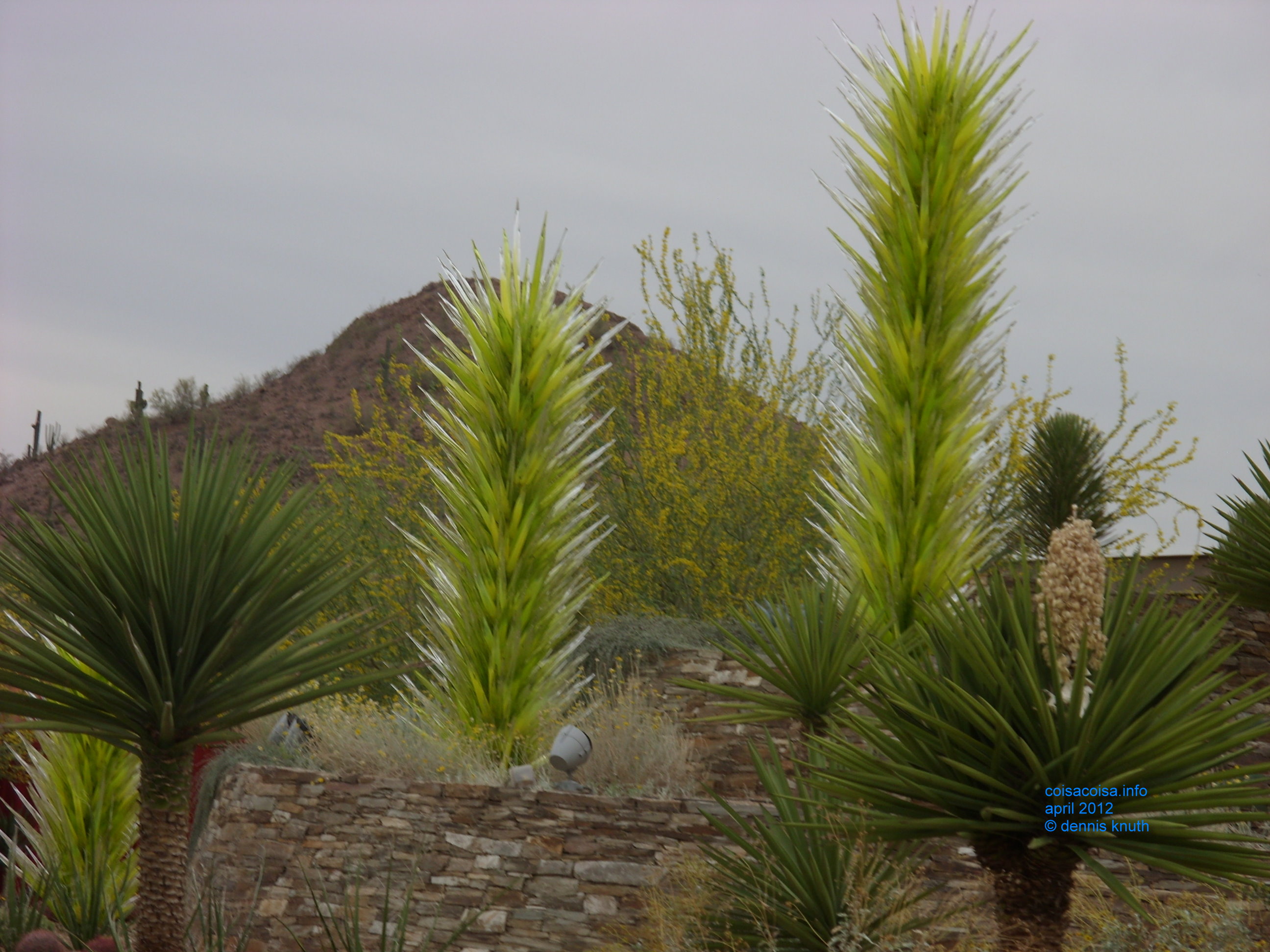 2012_04_25_arrive_b_botanical_garden_0008.jpg (large)