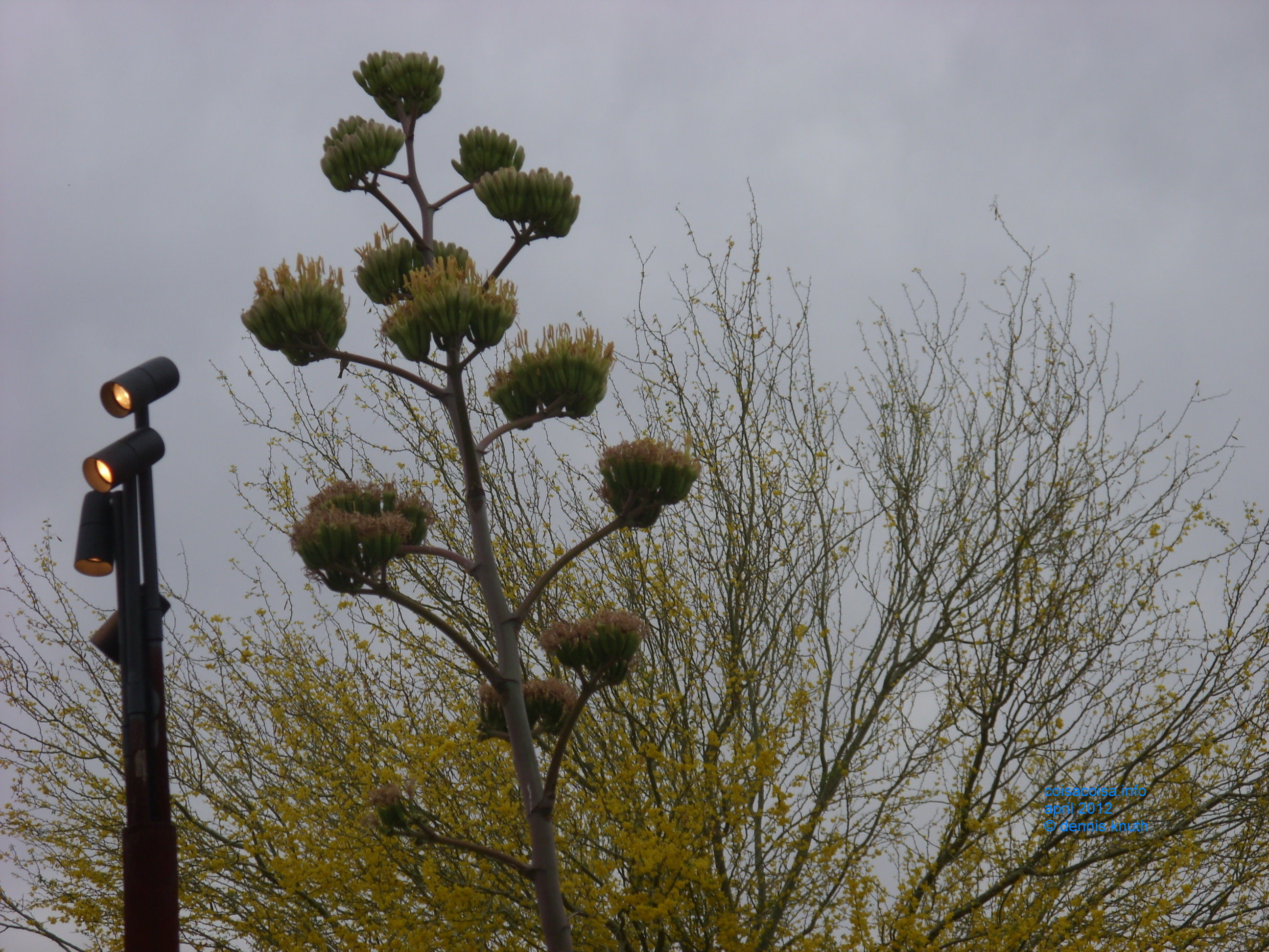 2012_04_25_arrive_b_botanical_garden_0010.jpg (large)