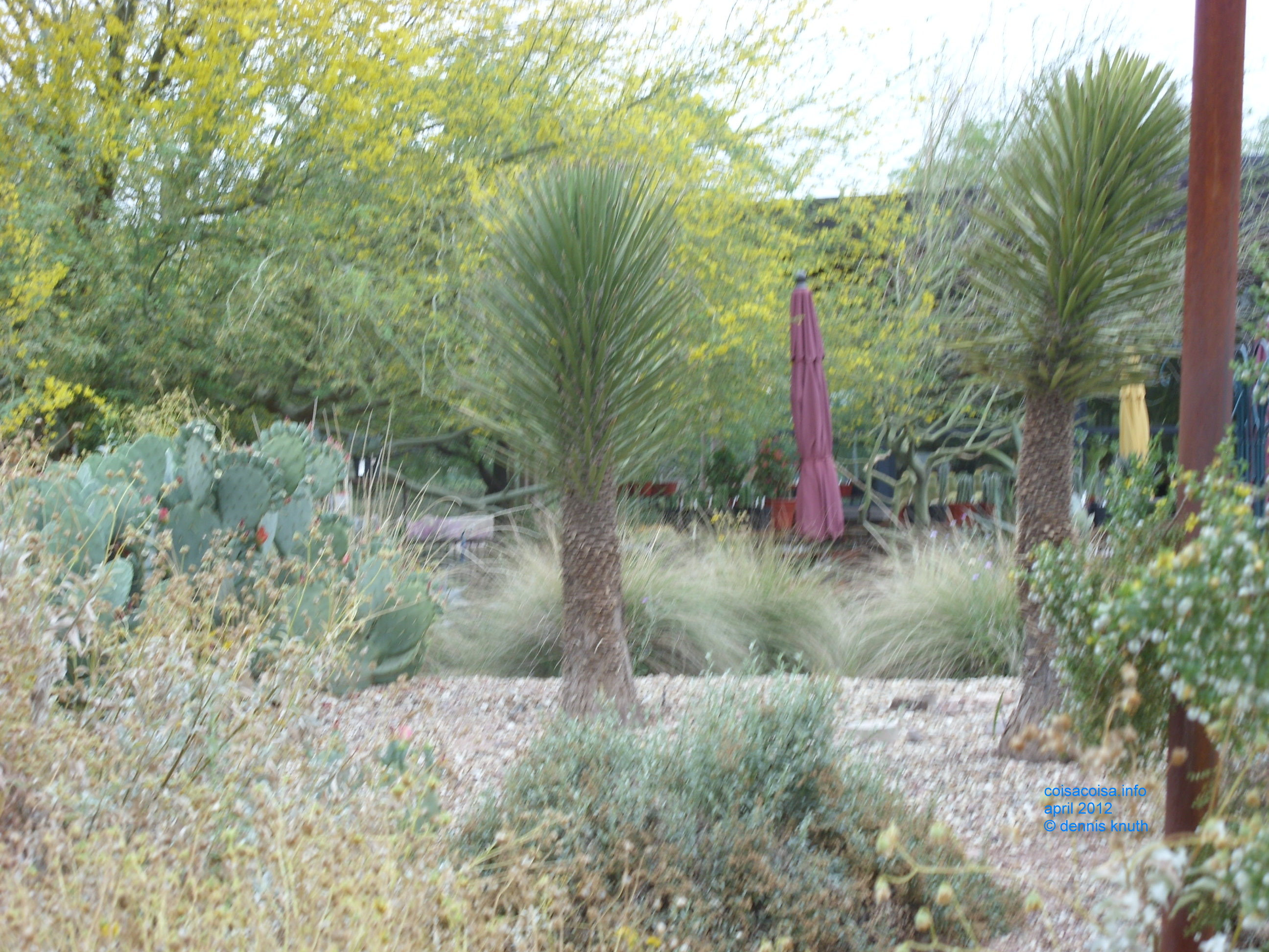 2012_04_25_arrive_b_botanical_garden_0012.jpg (large)