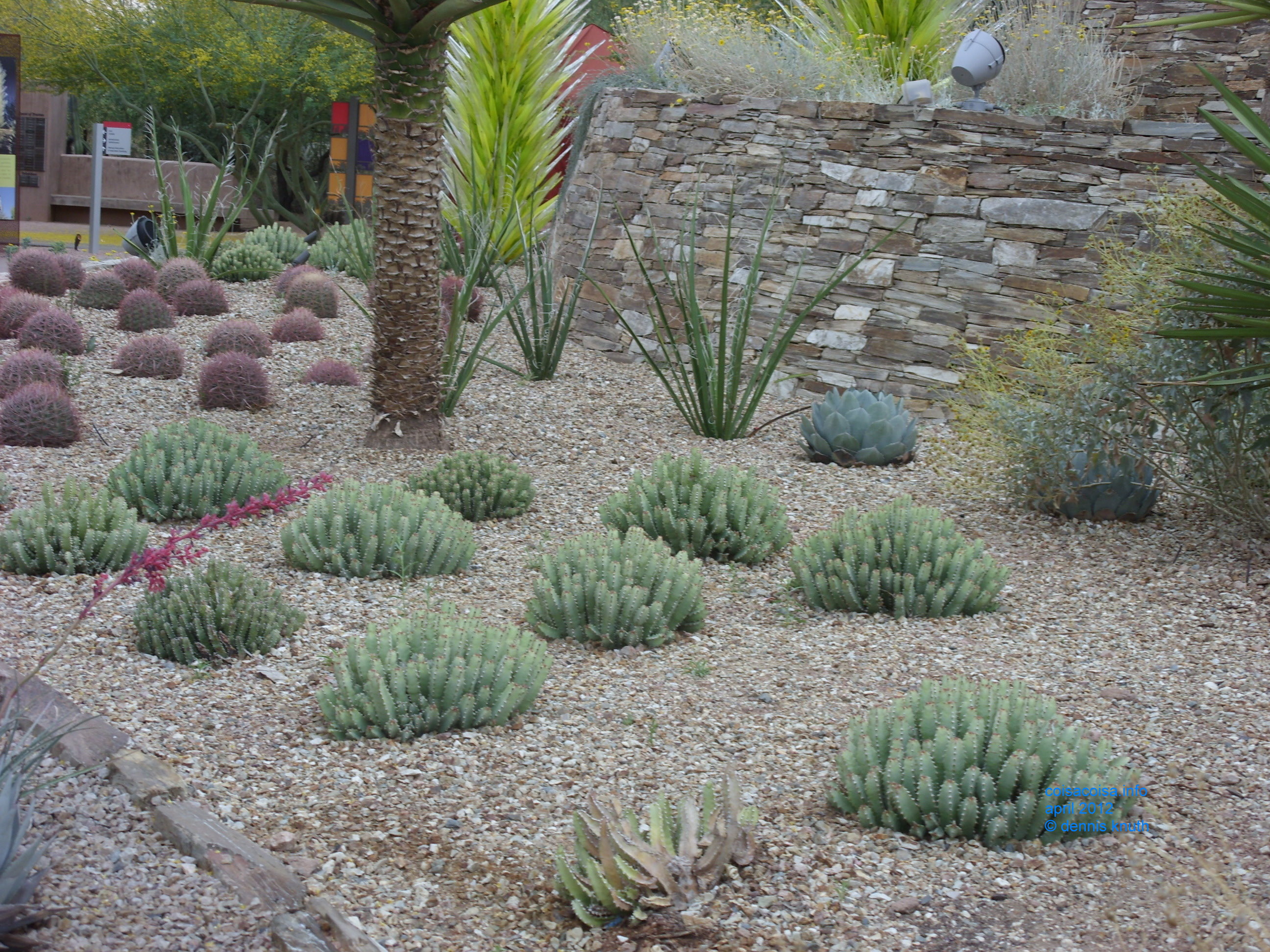 2012_04_25_arrive_b_botanical_garden_0013.jpg (large)