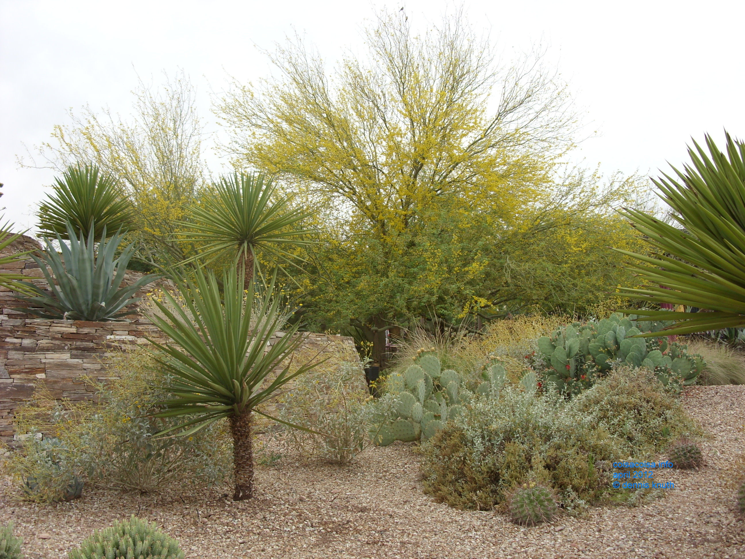 2012_04_25_arrive_b_botanical_garden_0015.jpg (large)