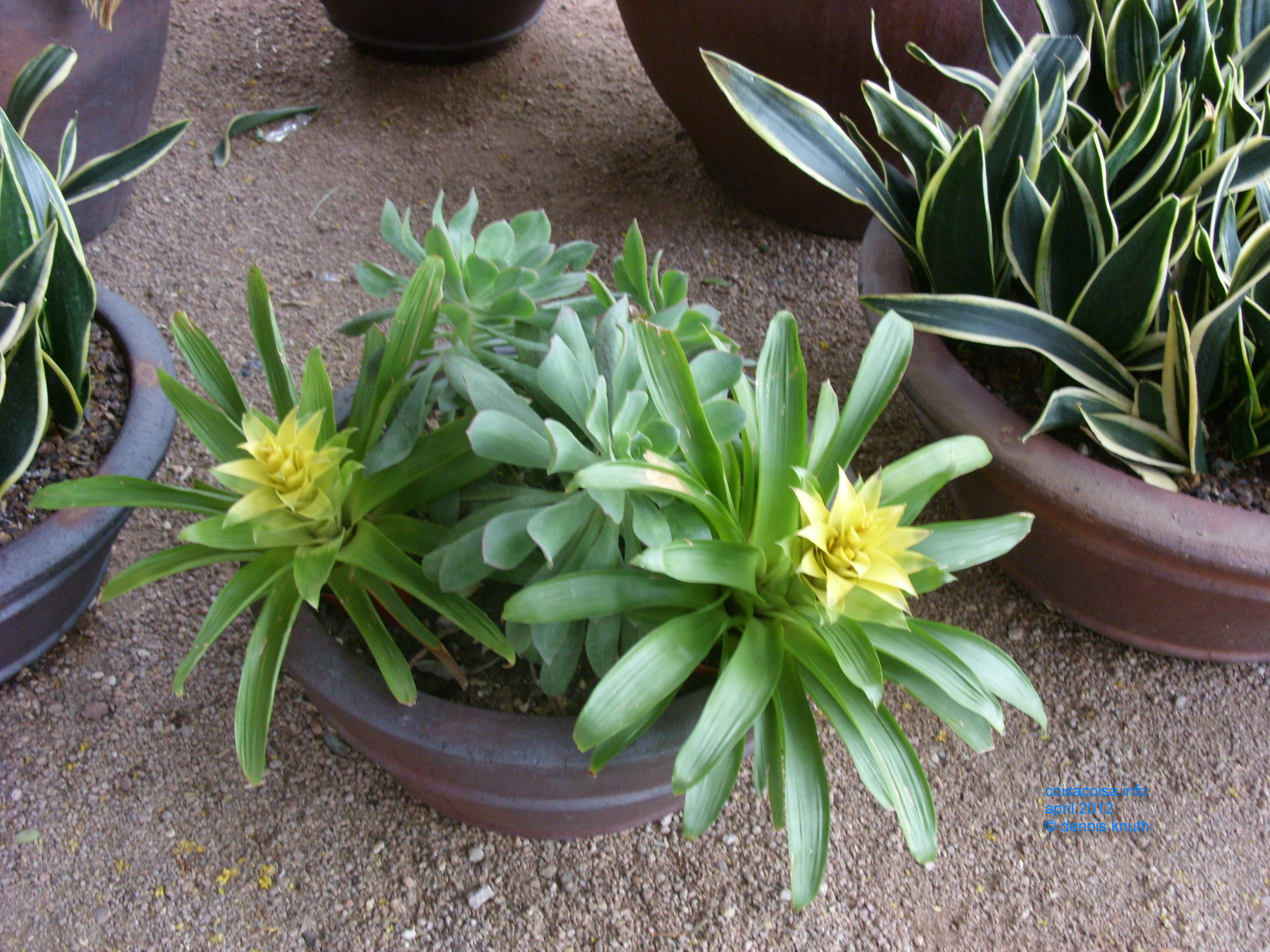 2012_04_25_arrive_b_botanical_garden_0020.jpg (large)