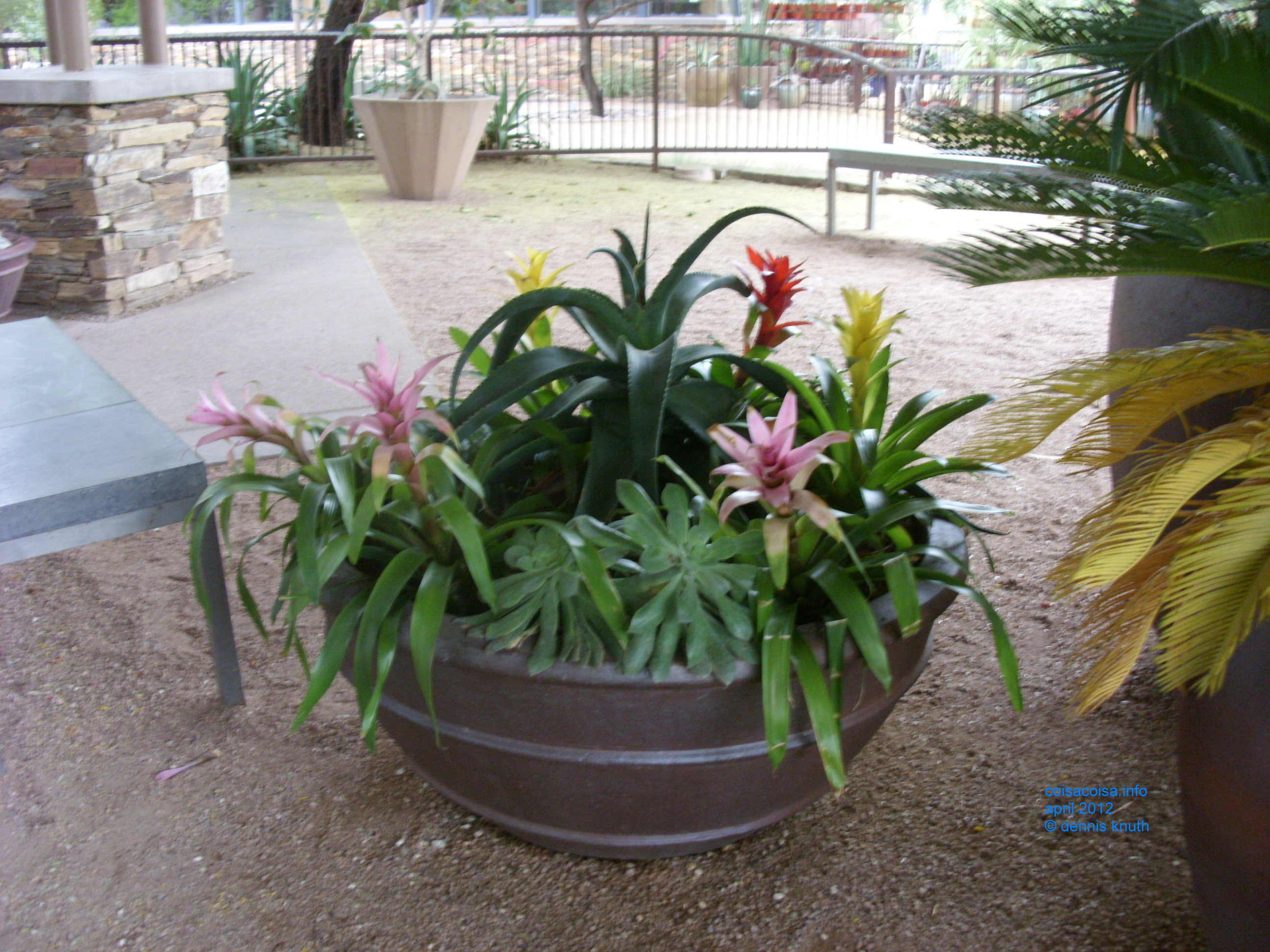 2012_04_25_arrive_b_botanical_garden_0021.jpg (large)