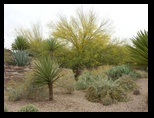 2012_04_25_arrive_b_botanical_garden_0015.jpg